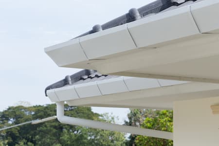 Gutter cleaning St. George Island FL